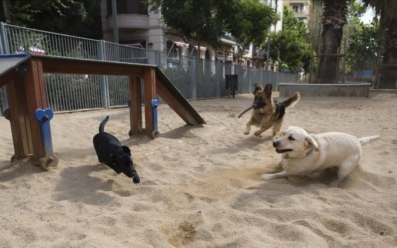 Ciudadanos Jódar propone la creación de un parque canino