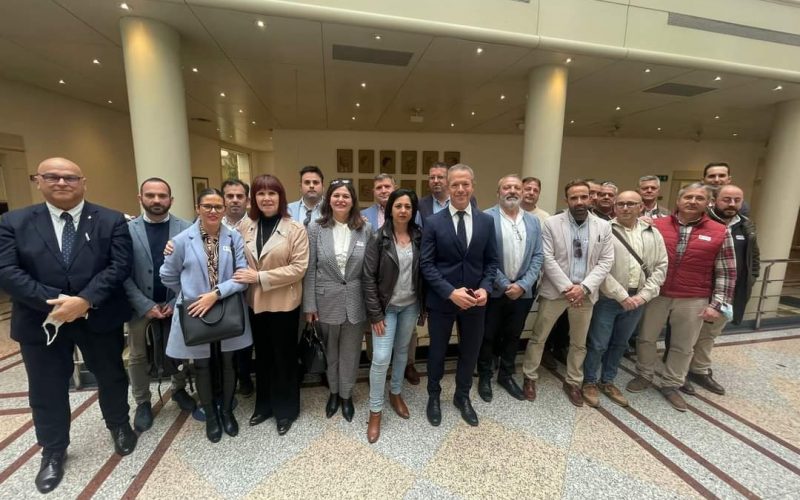 Alcaldes y alcaldesas de Mágina presentan en el Congreso el Plan de Digitalización y Transición Ecológica de la comarca