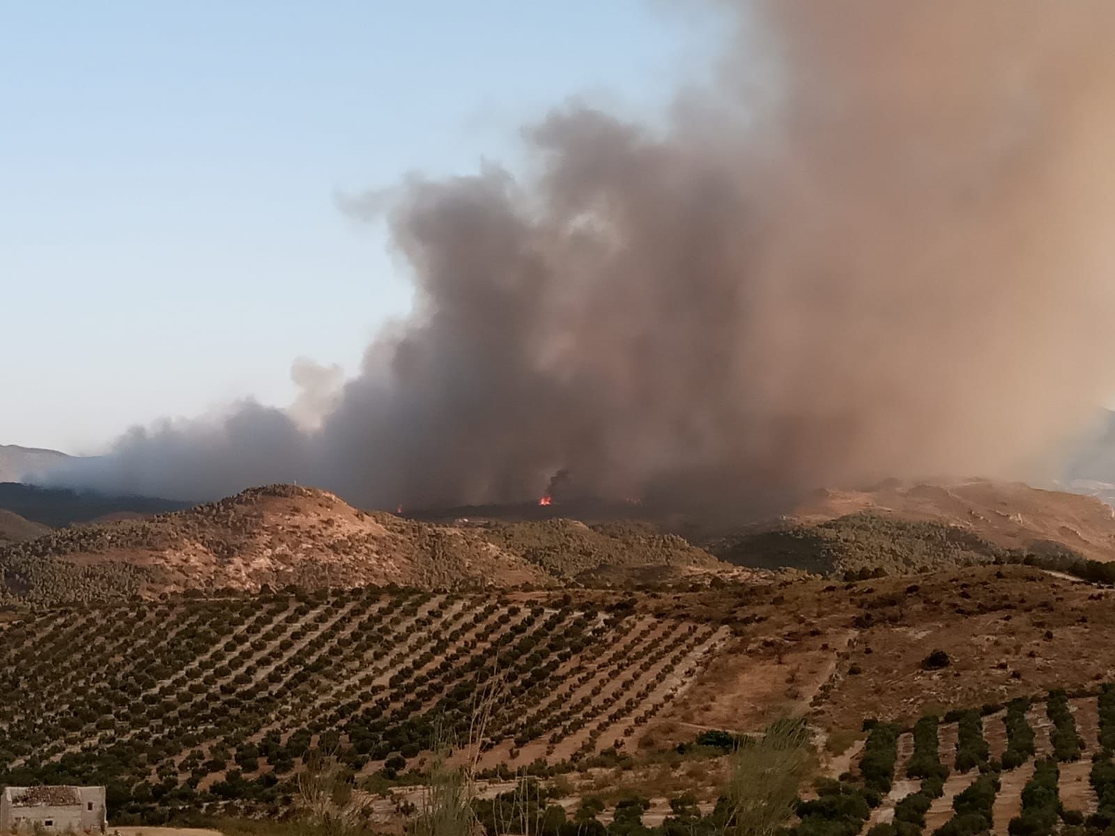 600 hectáreas las afectadas por las llamas en el incendio de Jódar