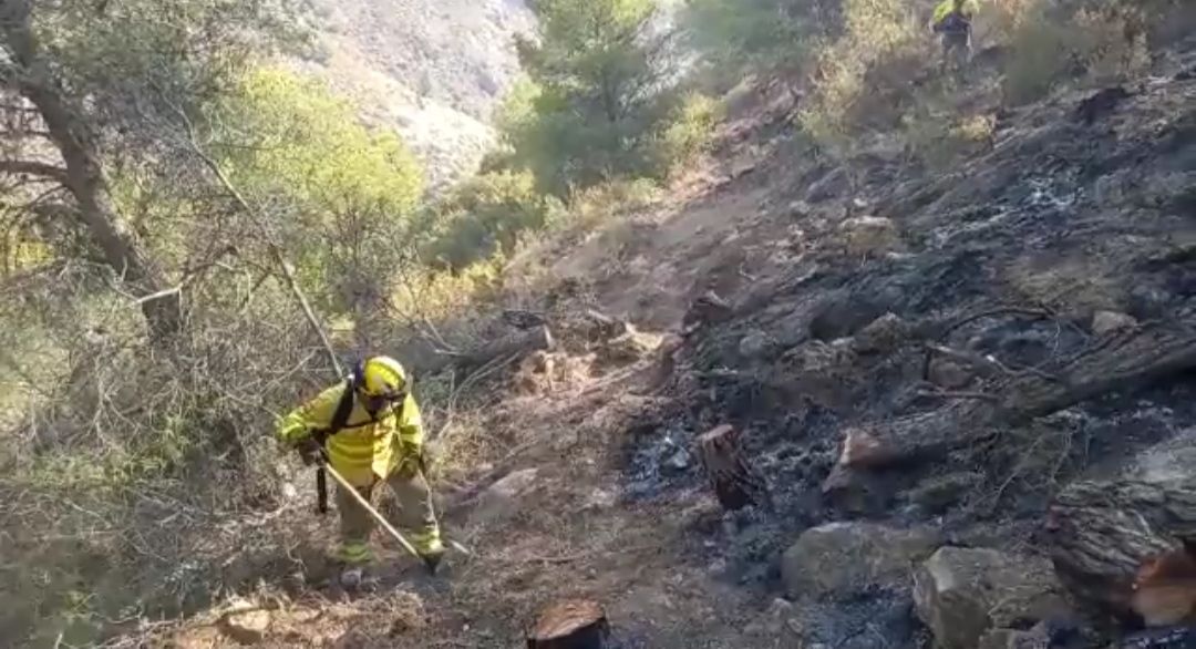 La provincia de Jaén registra en lo que va de año 116 incendios forestales con 1.054 hectáreas afectadas